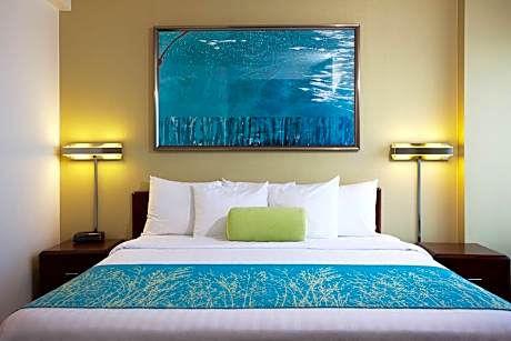 Suite, 1 King Bed with Sofa bed (Mobility/Hearing Access, Roll-In Shwr)