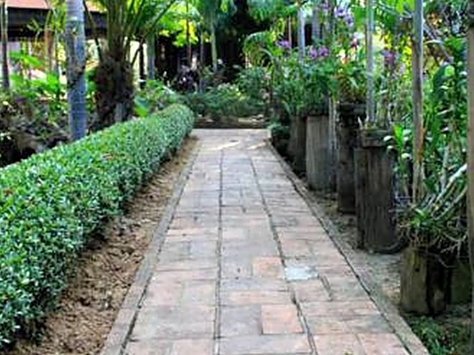 Orchid Hibiscus Guest House