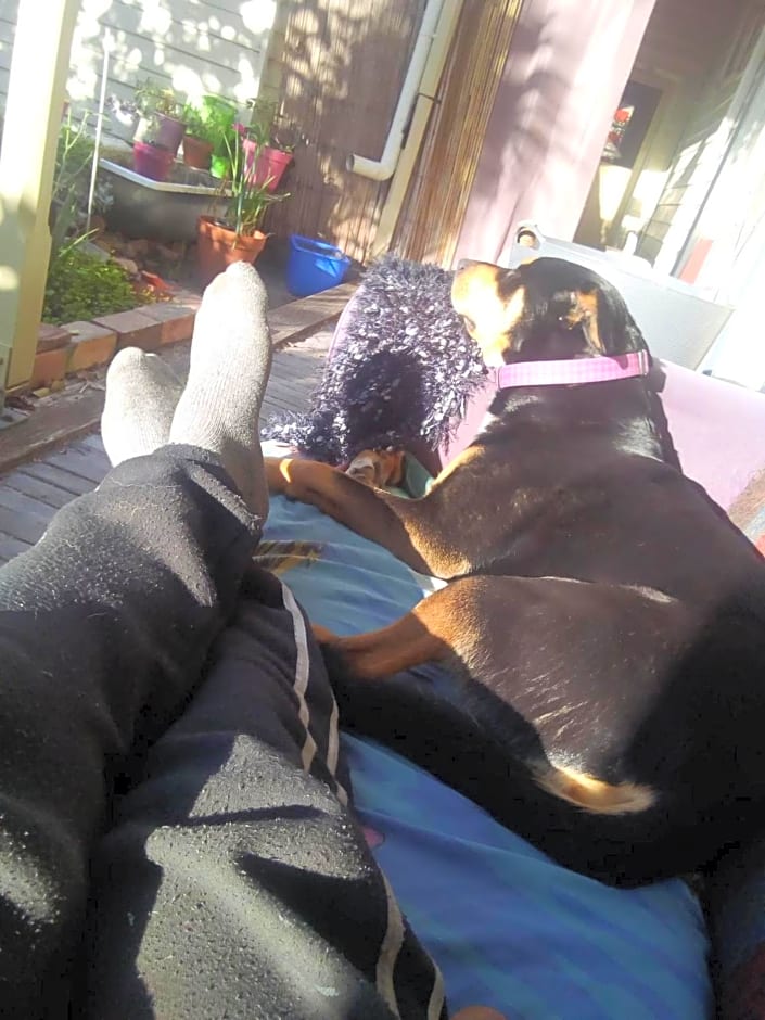 Sylvia Lodge A step back in time pet friendly Homestay