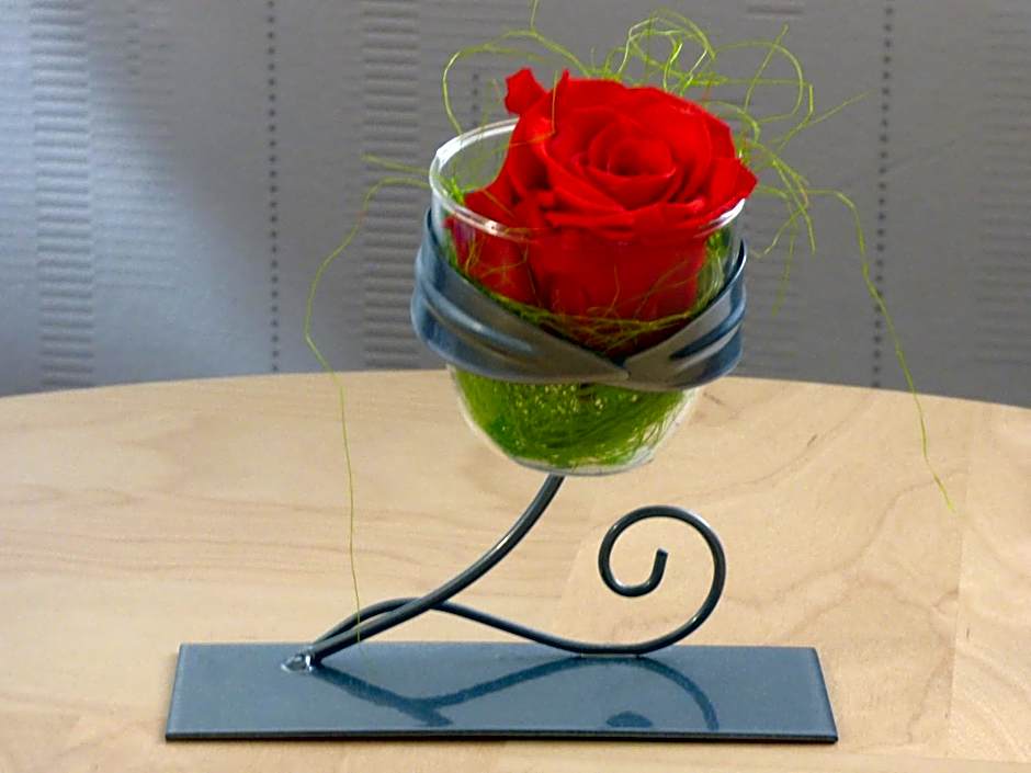 Citotel de La Vallee