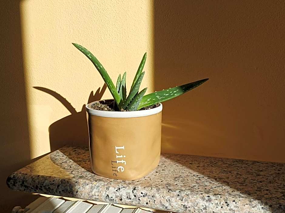 Bed and Breakfast da Pio