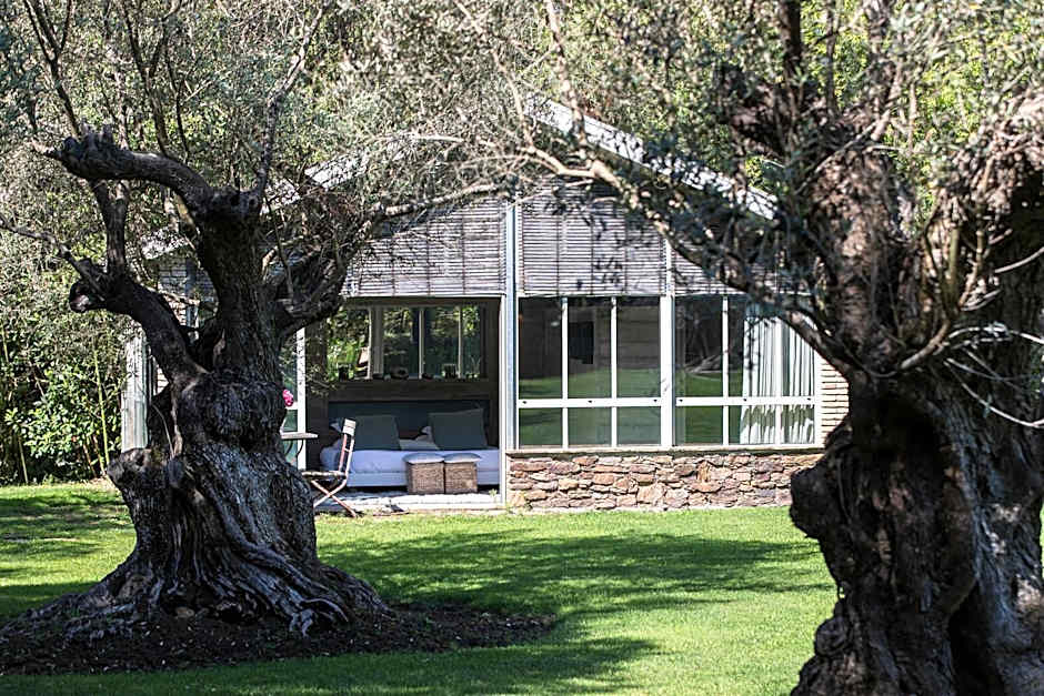 Domaine Les Mésanges