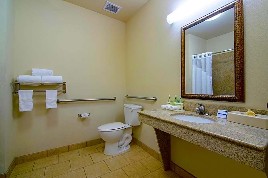 Holiday Inn Express Hotel & Suites Terrell By IHG