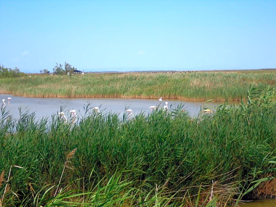 chambre les flamants