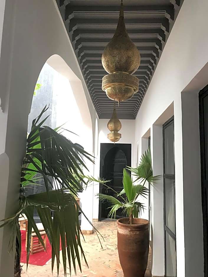 Riad Bab aylen - Piscine Roof Top chauffée