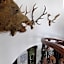 Palacio Doñana , Rural & Luxury