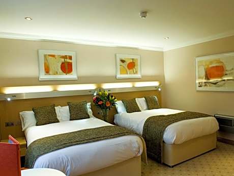 Executive Family Room