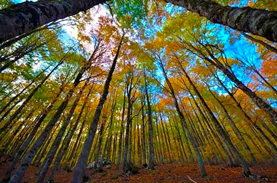 HOTEL HOLIDAYS a Barrea - Natura, Relax e Benessere nel Parco d'Abruzzo