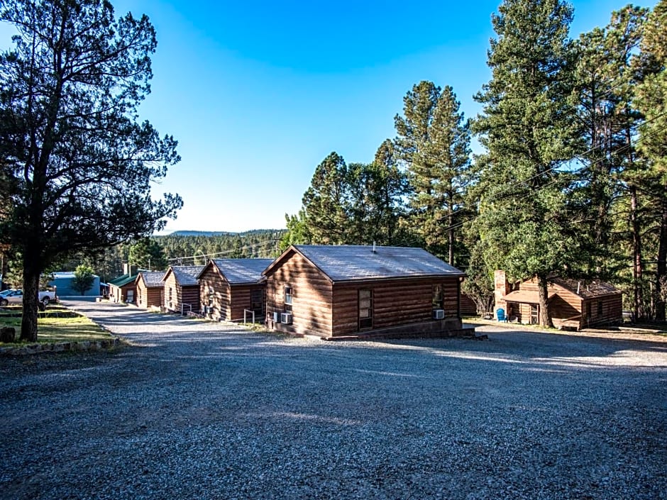 Destiny Cabin, 2 Bedrooms, Fireplace, Midtown, Sleeps 7