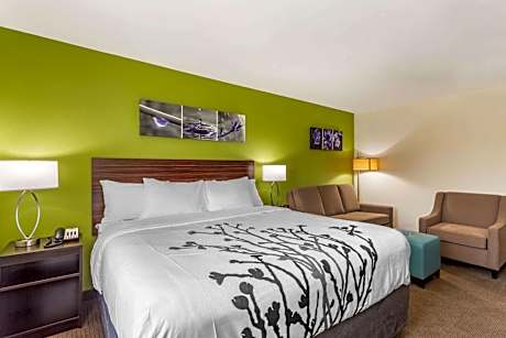 King Suite with Sofa Bed - Non-Smoking