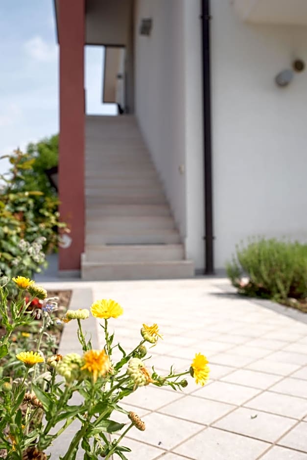 B&B Al Piovego
