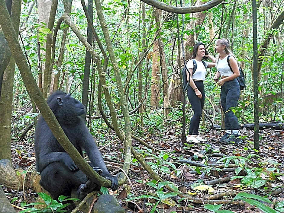 Tangkoko Ranger Homestay