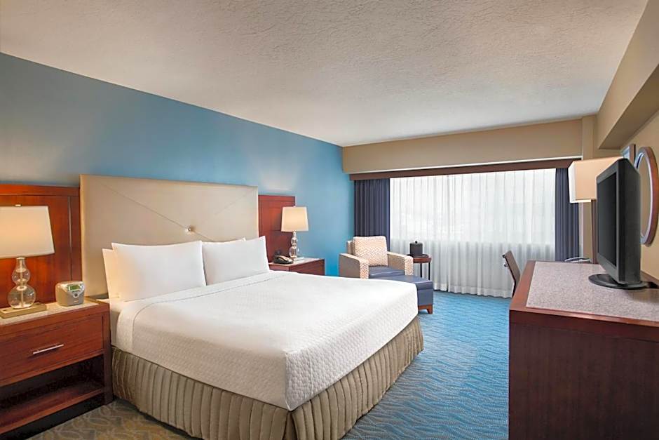 Photo 1 of 6 of Junior 1 King Bed Suite