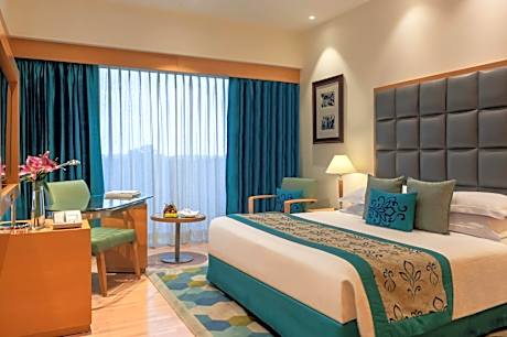 Executive Queen Room