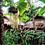 Hill Tribe Art House (Lahu & Akha Homestay)