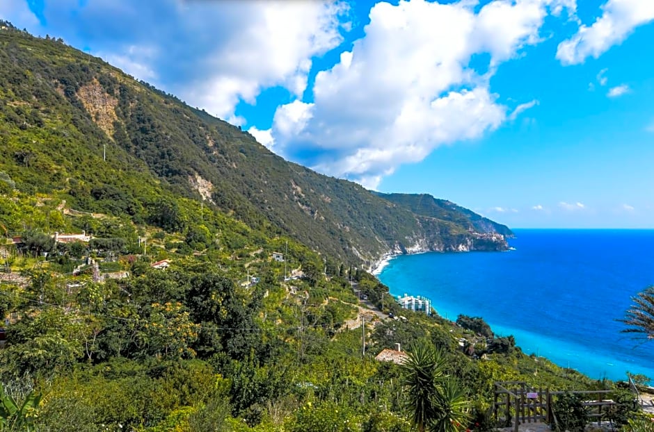 Locanda Il Carugio