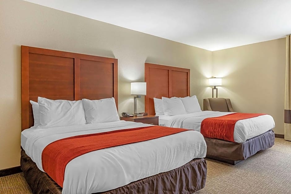 Comfort Inn & Suites Clemson - University Area 