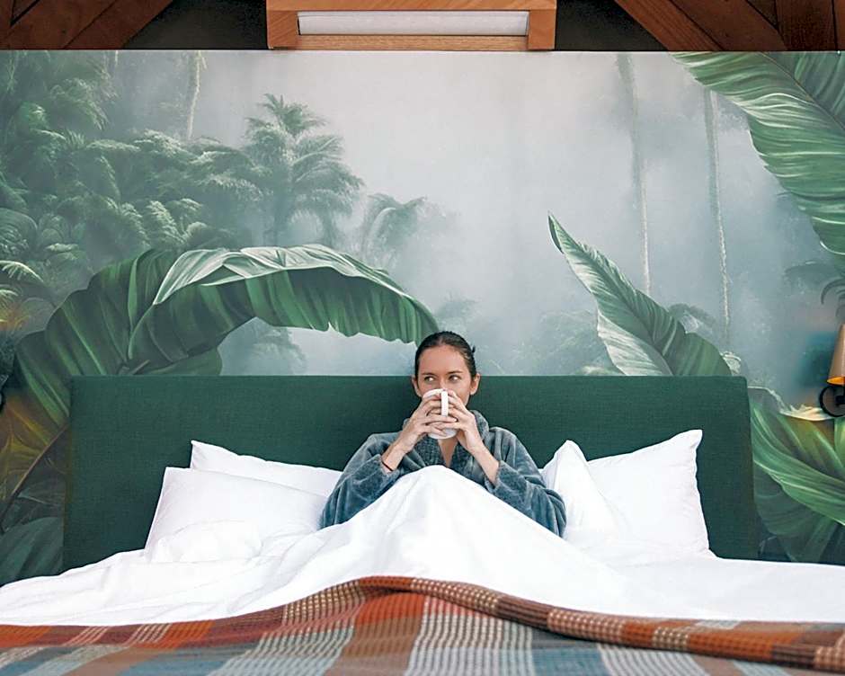 The Hive - Jungle at Misty Mountain Reserve