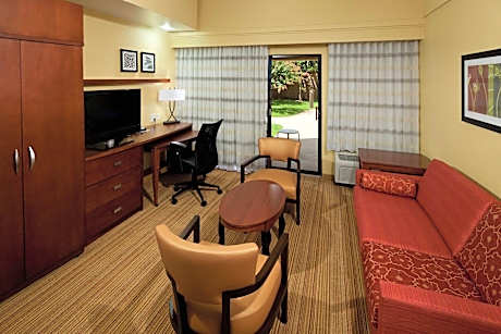 Larger Suite, 1 King, Sofa bed