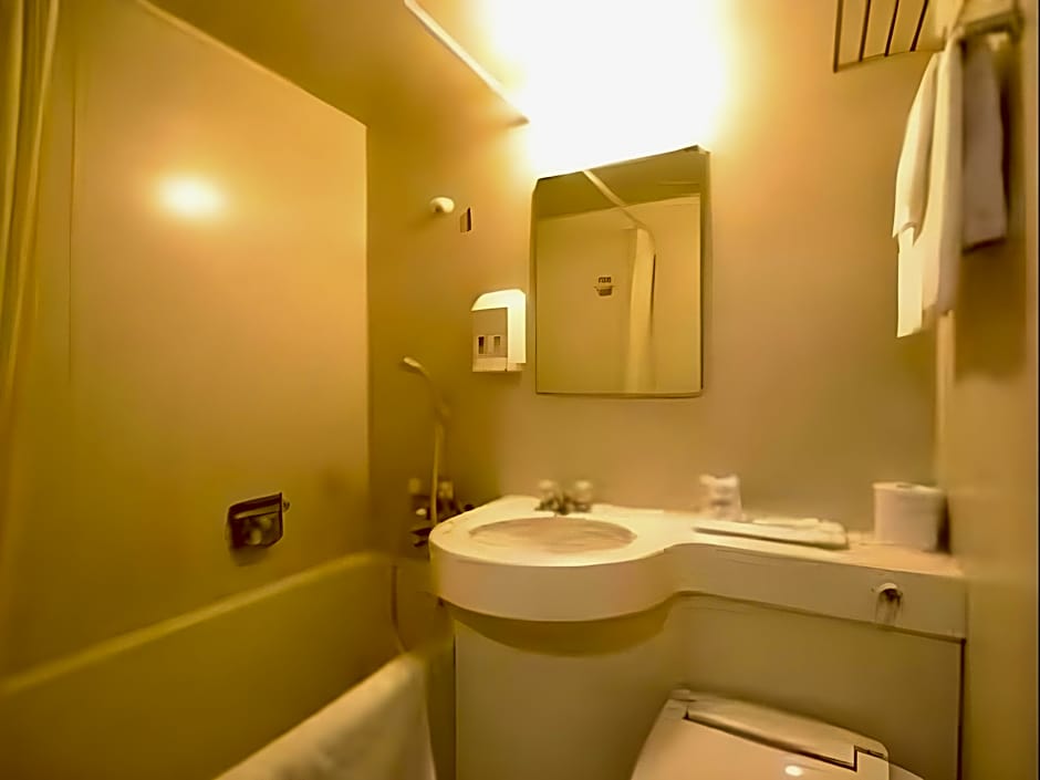 Leo Plaza Hotel
