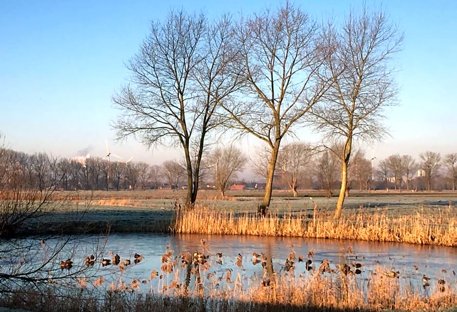 Logies De Meerkoet