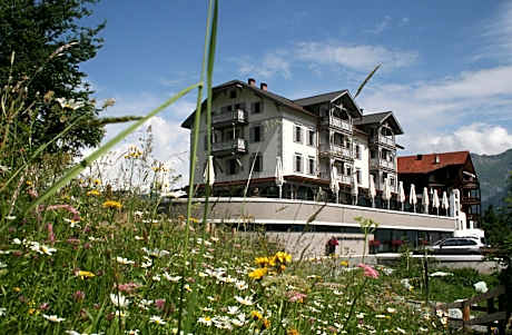 The Alpina Mountain Resort