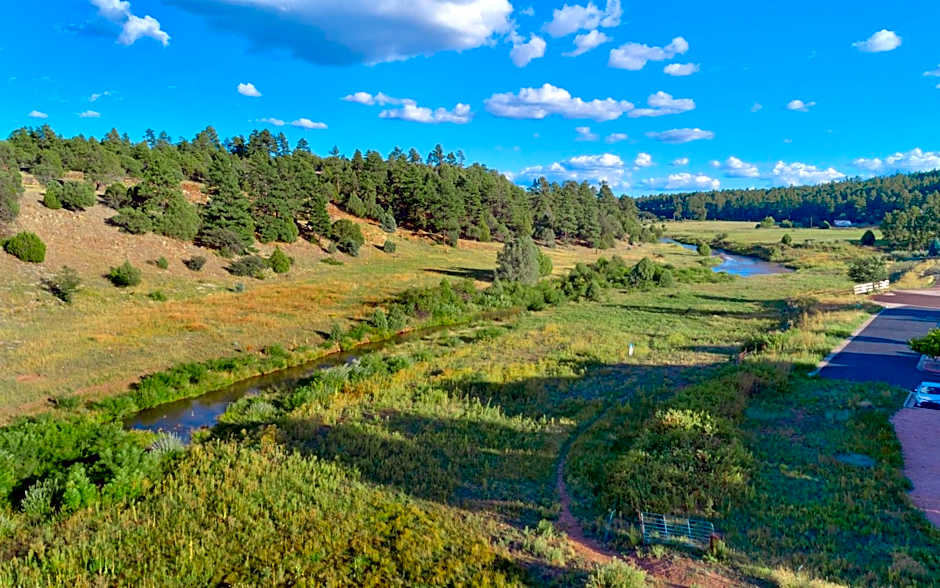 Hampton Inn By Hilton And Suites Show Low-Pinetop