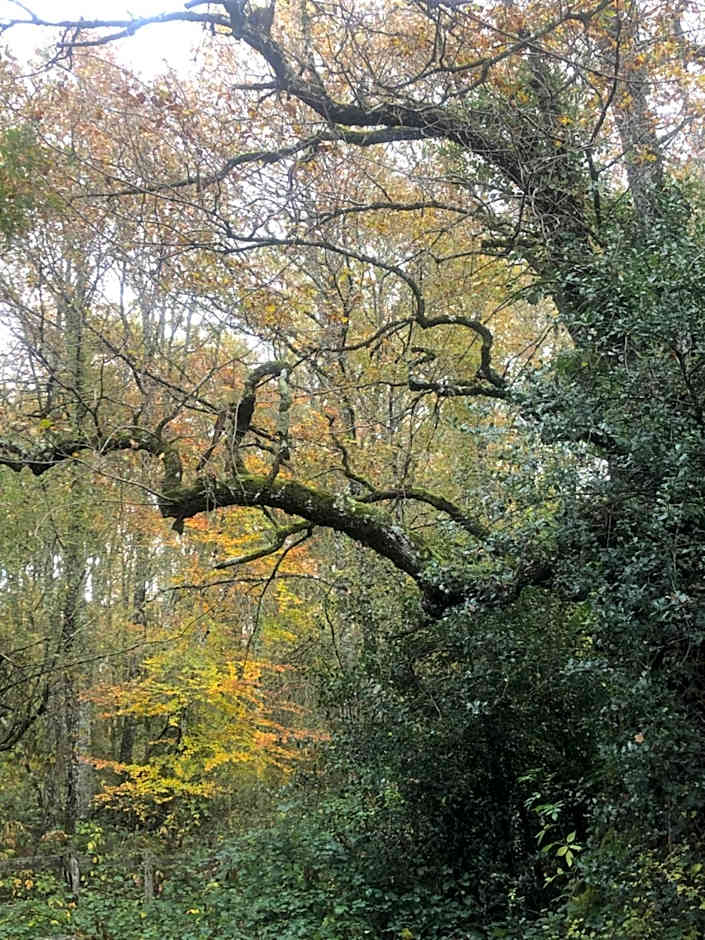 Casa Rural Ecológica Kaaño Etxea