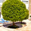 Fedrania Gardens Hotel
