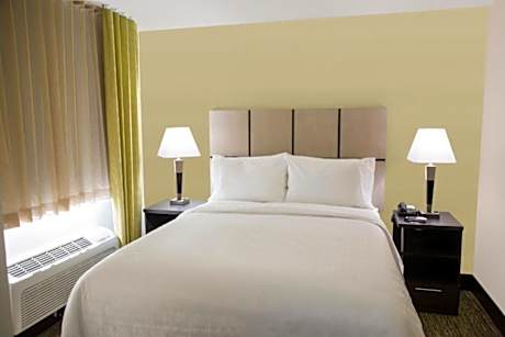 1 Queen Bed 1 Bedroom Suite Sofa Bed