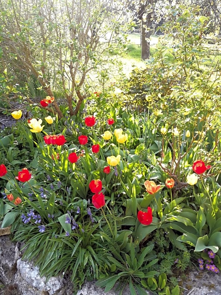 La Malinette B&B, calme et authenticité