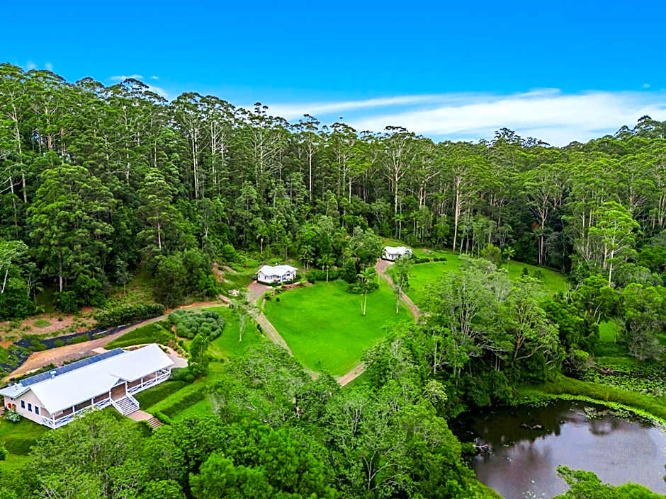 Nightcap Ridge - Byron Bay Hinterland