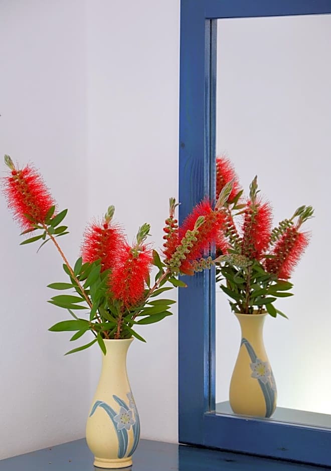 Hotel Dina - Ξενοδοχείο Ντινα