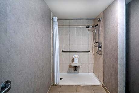 Queen Room - Disability Access Roll in Shower