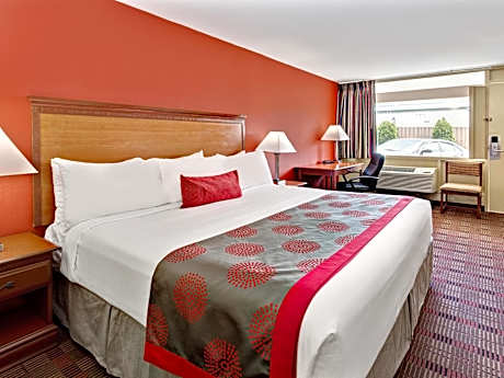 King Room - Non-Smoking