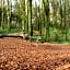 Entre monts et collines B&B et spa en option