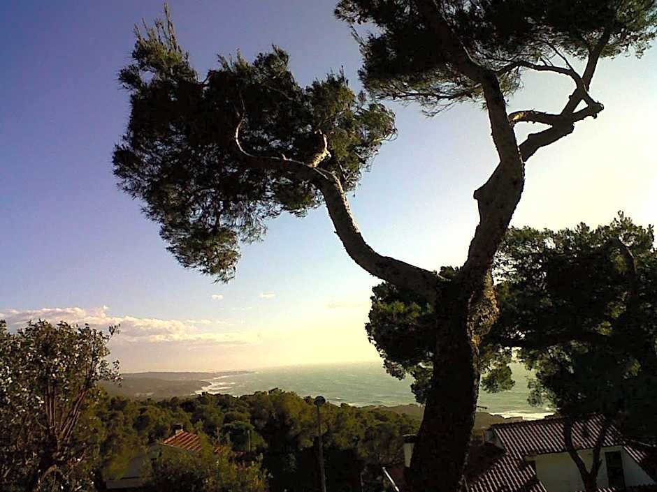 La Casa di Ulisse B&B