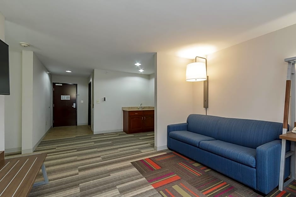 Holiday Inn Express & Suites - South Bend - Notre Dame Univ.