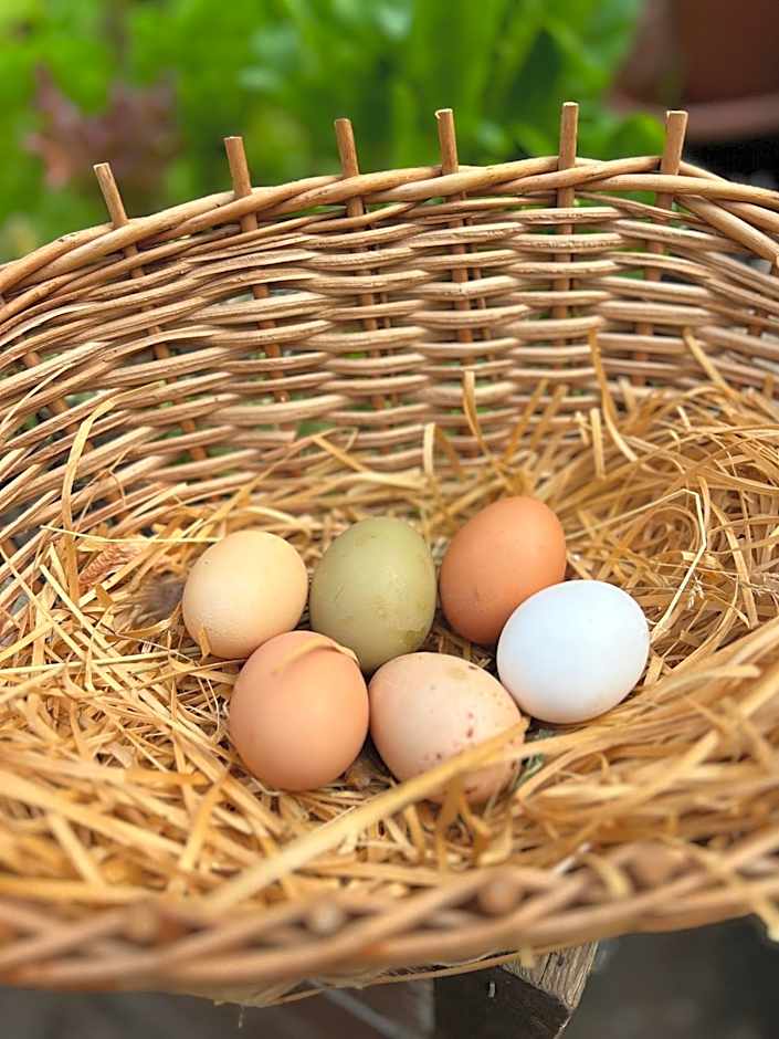 Ron De Mar - FLAMINGO