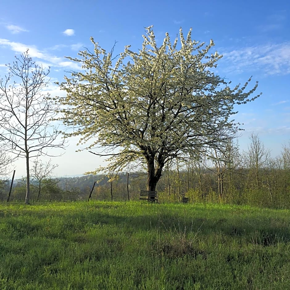 B&B La Semplice Nel Verde