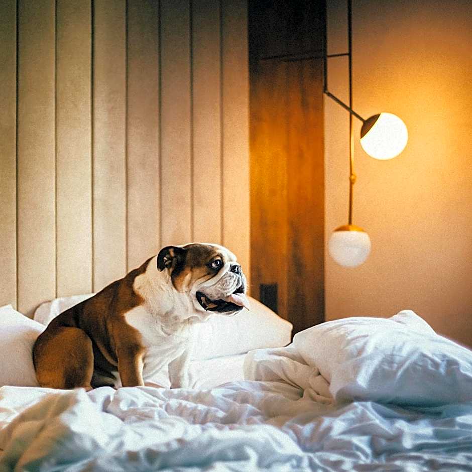 ICON Wipton by Petit Palace