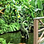 Best Western Naples Inn And Suites