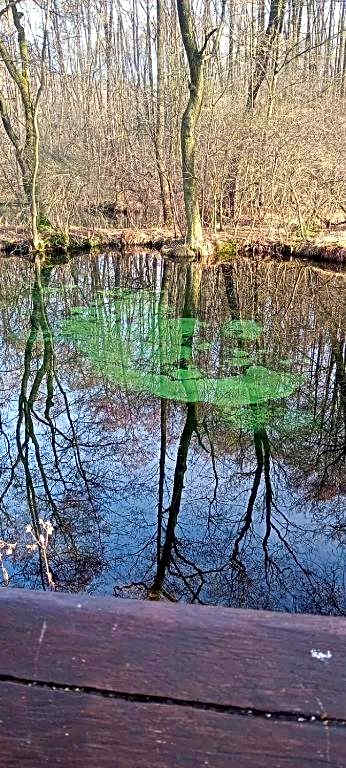 EUROPA22 Pokoje do wynajęcia - Hostel w centrum miasta