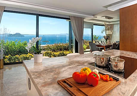 Royal Villa with Panorama Sea View and Infinity Pool - Full Privacy