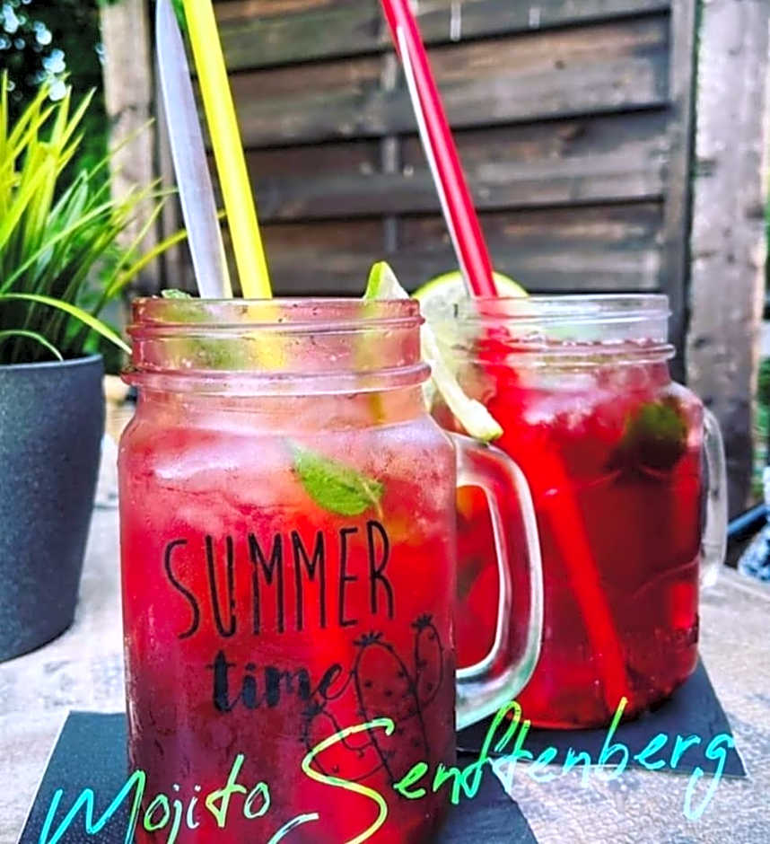 Pension Mojito Senftenberg