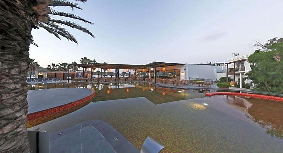 Very Chic Adult Only 18 