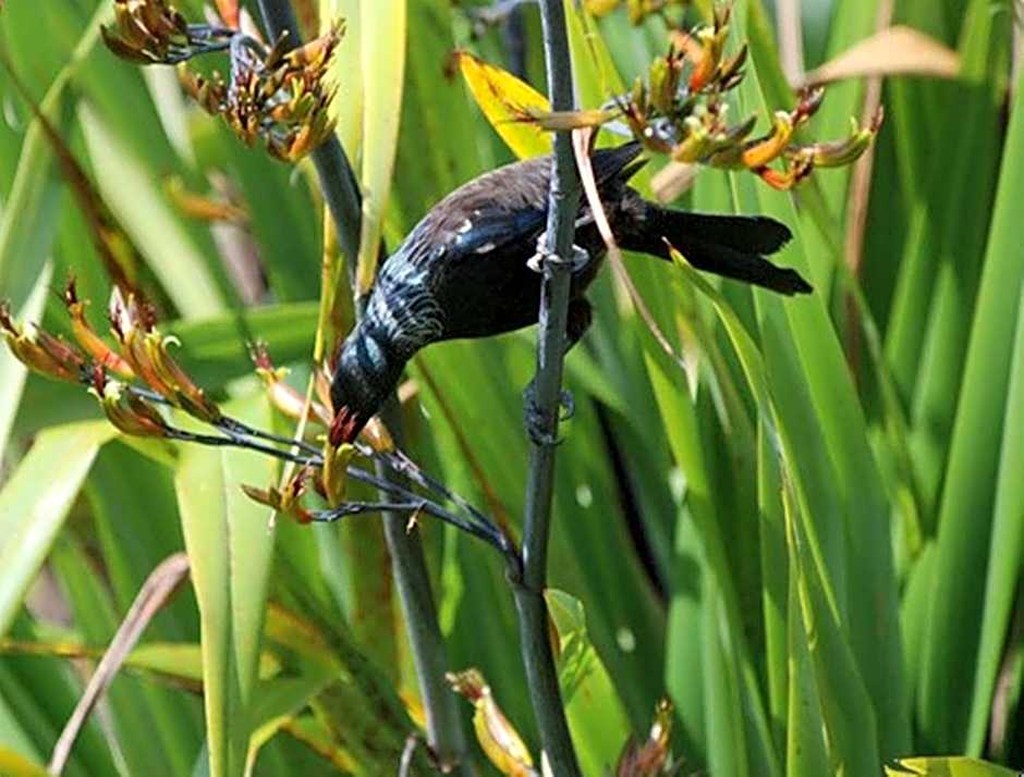 Warkworth Country House