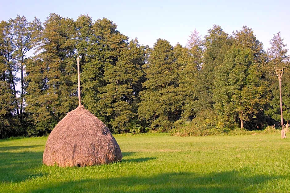 Spreewaldhotel Seerose