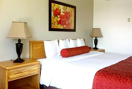 Premier King Room with Sofa Bed