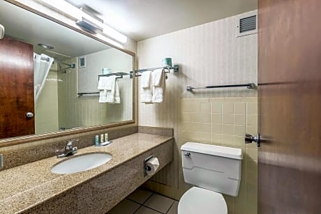1 King Bed, Suite, Nonsmoking